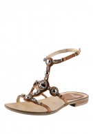 �������� ����