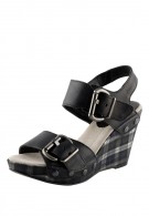 ����� ���� �����