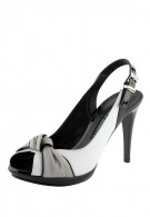 ����� 2010 ���� ��������