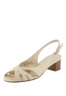 ���� ����� ����