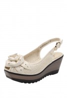 ����� ����������� �����