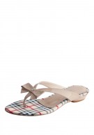 �������� ���� 2010 �������